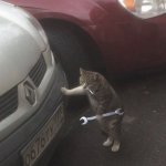 Smokin Wrench Cat meme