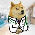 doctor doge