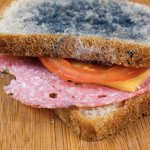 Moldy Ham Sandwich