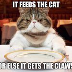 hungry cat | IT FEEDS THE CAT; OR ELSE IT GETS THE CLAWS | image tagged in hungry cat | made w/ Imgflip meme maker