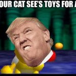 Scared Koopa 2.0 | WHEN YOUR CAT SEE’S TOYS FOR A WEEK | image tagged in scared koopa 20 | made w/ Imgflip meme maker