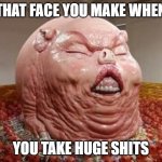 Constipated Pig | THAT FACE YOU MAKE WHEN; YOU TAKE HUGE SHITS | image tagged in constipated pig | made w/ Imgflip meme maker