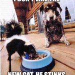 Skunk eats dog's food | I DON’T LIKE THE; NEW CAT. HE STINKS. | image tagged in skunk eats dog's food | made w/ Imgflip meme maker
