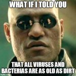 WHAT IF I TOLD YOU.... | WHAT IF I TOLD YOU; THAT ALL VIRUSES AND BACTERIAS ARE AS OLD AS DIRT | image tagged in what if i told you | made w/ Imgflip meme maker