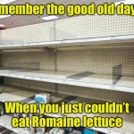 I miss the E. coli scares | Remember the good old days? When you just couldn’t eat Romaine lettuce | image tagged in corona virus ocd,covid-19 | made w/ Imgflip meme maker