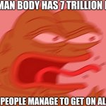 Pepe REEEEE | THE HUMAN BODY HAS 7 TRILLION NERVES; BUT SOME PEOPLE MANAGE TO GET ON ALL OF THEM | image tagged in pepe reeeee | made w/ Imgflip meme maker