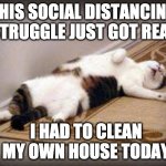 Dramatic kitty | THIS SOCIAL DISTANCING STRUGGLE JUST GOT REAL; I HAD TO CLEAN MY OWN HOUSE TODAY | image tagged in dramatic kitty | made w/ Imgflip meme maker