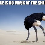 Ostrich head in sand | THERE IS NO MASK AT THE SHELFS.. | image tagged in ostrich head in sand | made w/ Imgflip meme maker
