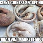 COVID all PANGOLIN | ANCIENT CHINESE SECRET HUH? A WUHAN WET MARKET FAVORITE | image tagged in covid all pangolin | made w/ Imgflip meme maker