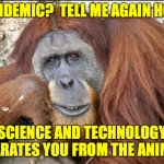 Creepy Condescending Monkey | PANDEMIC?  TELL ME AGAIN HOW; SCIENCE AND TECHNOLOGY SEPARATES YOU FROM THE ANIMALS | image tagged in creepy condescending monkey,memes,covid-19 | made w/ Imgflip meme maker
