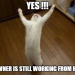 Victory Monday | YES !!! MY OWNER IS STILL WORKING FROM HOME ! | image tagged in victory monday | made w/ Imgflip meme maker