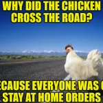 Why did the Chicken Cross the Road? | WHY DID THE CHICKEN
CROSS THE ROAD? BECAUSE EVERYONE WAS ON
STAY AT HOME ORDERS | image tagged in why the chicken cross the road,memes,stay at home,coronavirus,change my mind,marked safe from | made w/ Imgflip meme maker
