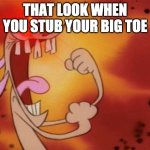 Ren and Stimpy "I'm so angry!" | THAT LOOK WHEN YOU STUB YOUR BIG TOE | image tagged in ren and stimpy i'm so angry | made w/ Imgflip meme maker