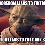 That is the Path To The Dark Side | BOREDOM LEADS TO TIKTOK; TIKTOK LEADS TO THE DARK SIDE | image tagged in that is the path to the dark side | made w/ Imgflip meme maker