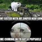 Sniper cat aim crying cat | MY SISTER WITH MY SNIPER NERF GUN; ME COMING IN TO GET A POPSICLE | image tagged in sniper cat aim crying cat | made w/ Imgflip meme maker