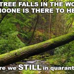 Fallen tree in forest | IF A TREE FALLS IN THE WOODS
AND NOONE IS THERE TO HEAR IT; STILL; then are we              in quarantine?!?! | image tagged in fallen tree in forest | made w/ Imgflip meme maker