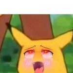 Pikachu hentai face | image tagged in pikachu hentai face | made w/ Imgflip meme maker