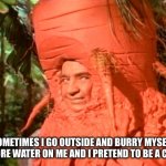Carrot Man | SOMETIMES I GO OUTSIDE AND BURRY MYSELF AND PORE WATER ON ME AND I PRETEND TO BE A CARROT | image tagged in carrot man | made w/ Imgflip meme maker