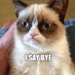 image tagged in grumpy cat | made w/ Imgflip meme maker