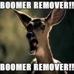 Deer Scream | BOOMER REMOVER!! BOOMER REMOVER!! | image tagged in deer scream | made w/ Imgflip meme maker