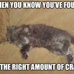 Kitty Krack | WHEN YOU KNOW YOU'VE FOUND; JUST THE RIGHT AMOUNT OF CRACK... | image tagged in kitty krack | made w/ Imgflip meme maker
