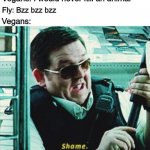 Flies are not animals | Vegans: I would never kill an animal; Fly: Bzz bzz bzz; Vegans: | image tagged in shame,memes,funny,vegan,fly | made w/ Imgflip meme maker