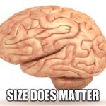 Human Brain | SIZE DOES MATTER | image tagged in human brain | made w/ Imgflip meme maker