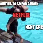 When i'm trying to get off the couch | ME WANTING TO GO FOR A WALK; NETFLIX; NEXT EPISODE? | image tagged in no good can come of this,netflix | made w/ Imgflip meme maker
