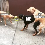 One Sided Dog Fight | MY EMPLOYER; ME; CORONAVIRUS; RENT MONEY | image tagged in one sided dog fight | made w/ Imgflip meme maker