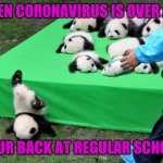 Falling flat on life.. | WHEN CORONAVIRUS IS OVER AND; YOUR BACK AT REGULAR SCHOOL | image tagged in falling flat on life | made w/ Imgflip meme maker