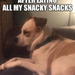 Duke | ME AFTER QUARANTINE AFTER EATING ALL MY SNACKY SNACKS | image tagged in duke,dogs,funny memes,quarantine,snacks,fat | made w/ Imgflip meme maker