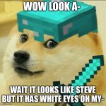 Minecraft Doge | WOW LOOK A-; WAIT IT LOOKS LIKE STEVE BUT IT HAS WHITE EYES OH MY- | image tagged in minecraft doge | made w/ Imgflip meme maker