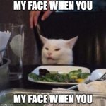 My face when you | MY FACE WHEN YOU; MY FACE WHEN YOU | image tagged in only the cat,my face when you | made w/ Imgflip meme maker