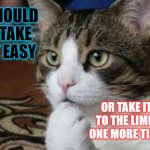 Ponder cat | SHOULD I TAKE IT EASY; OR TAKE IT TO THE LIMIT ONE MORE TIME | image tagged in ponder cat | made w/ Imgflip meme maker