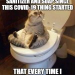 Toilet cat | I'VE ABSORBED SO MUCH SANITIZER AND SOAP SINCE THIS COVID-19 THING STARTED; THAT EVERY TIME I PEE, IT CLEANS THE TOILET! | image tagged in toilet cat,covid-19,hand sanitizer,funny,cat memes,toilet | made w/ Imgflip meme maker
