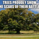 Be a like a tree | TREES PROUDLY SHOW THE SCARS OF THEIR BATTLES | image tagged in fig tree,scars,be a tree,your battles can be won,be you,stand tall | made w/ Imgflip meme maker