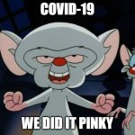 Pinky and the Brain | COVID-19; WE DID IT PINKY | image tagged in pinky and the brain | made w/ Imgflip meme maker