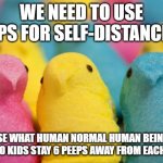 Peeps | WE NEED TO USE PEEPS FOR SELF-DISTANCING; BECAUSE WHAT HUMAN NORMAL HUMAN BEING LIKES PEEPS. SO KIDS STAY 6 PEEPS AWAY FROM EACH OTHER | image tagged in peeps | made w/ Imgflip meme maker