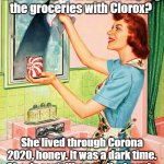 Corona Grandma | 2040: Why is Grandma wiping the groceries with Clorox? She lived through Corona 2020, honey. It was a dark time.  She doesn't like to talk about it. | image tagged in corona grandma | made w/ Imgflip meme maker