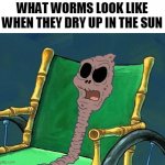 What Did He Say Spongebob Meme | WHAT WORMS LOOK LIKE WHEN THEY DRY UP IN THE SUN | image tagged in what did he say spongebob meme | made w/ Imgflip meme maker