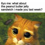 cat hat don't forget me | My mom: Wow this is the best food ive ever had; 6yo me: what about the peanut butter jelly sandwich i made you last week? | image tagged in cat hat don't forget me | made w/ Imgflip meme maker