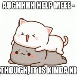 on me | AUGHHHH HELP MEEE -; ALTHOUGH, IT IS KINDA NICE | image tagged in memes | made w/ Imgflip meme maker