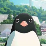 Penguin highway stare