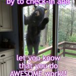 bear window | Hi, Just stopping by to check-in and; let you know that you do AWESOME work!! | image tagged in bear window | made w/ Imgflip meme maker