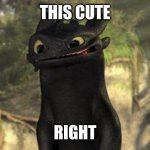 Toothless | THIS CUTE; RIGHT | image tagged in toothless | made w/ Imgflip meme maker