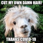 CUT MY OWN DAMN HAIR! THANKS COVID-19 | image tagged in covid-19,covid19,hair,bad haircut,funny haircut,funny memes | made w/ Imgflip meme maker