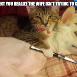 Cats vs dogs | AT THAT MOMENT YOU REALIZE THE WIFE ISN'T TRYING TO GIVE YOU A HUG | image tagged in cats vs dogs | made w/ Imgflip meme maker