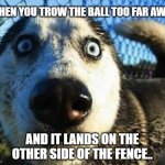 Scared dog | WHEN YOU TROW THE BALL TOO FAR AWAY; AND IT LANDS ON THE OTHER SIDE OF THE FENCE.. | image tagged in scared dog | made w/ Imgflip meme maker