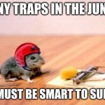 Mouse Trap | MANY TRAPS IN THE JUNGLE; YOU MUST BE SMART TO SURVIVE | image tagged in mouse trap | made w/ Imgflip meme maker