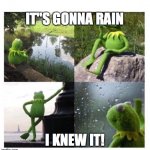 Kermit PTSD | IT"S GONNA RAIN; I KNEW IT! | image tagged in kermit ptsd | made w/ Imgflip meme maker